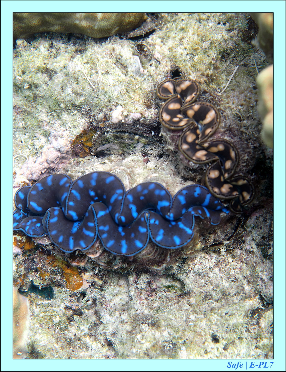 2016 - 07 - Leng Tengah - 051